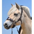 Edix ED4 Classic Hackamore Bridle Edix ED4 Classic Hackamore Bridle